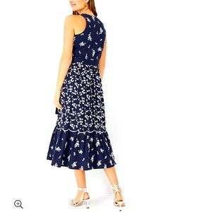Ann Taylor Floral Embroidered Midi Dress